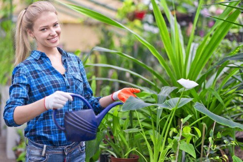 Professional garden clearance team at work in Feltham