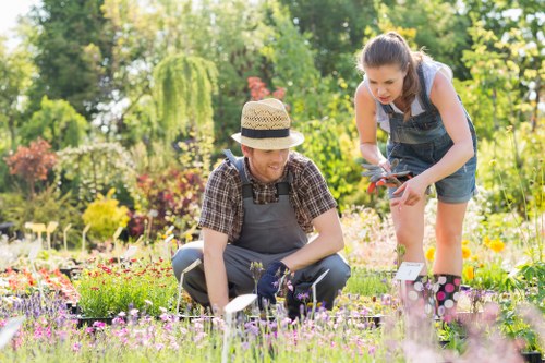 Professional hedge trimming service in Feltham