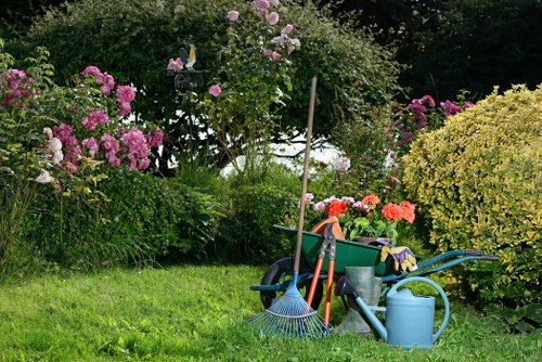Eco-friendly lawn mowing practices in action