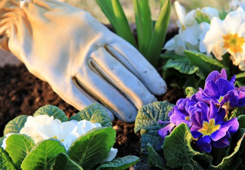 Garden tools and equipment used for clearance