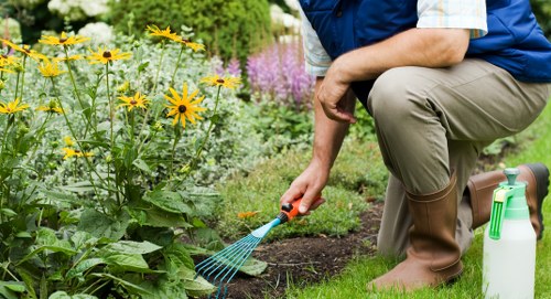 Healthy soil preparation for Feltham gardens