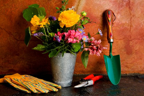 Seasonal garden maintenance in Feltham