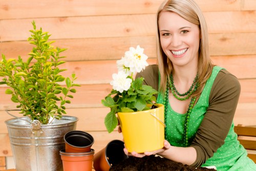 Lush Feltham garden with diverse plant selection