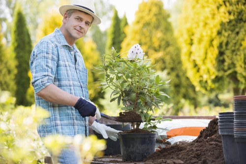 Spring garden maintenance activities in Feltham