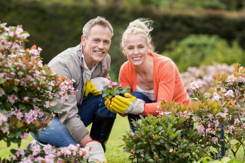 Eco-friendly sustainable landscaping practices